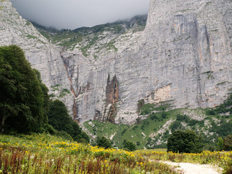 Similar image 822320