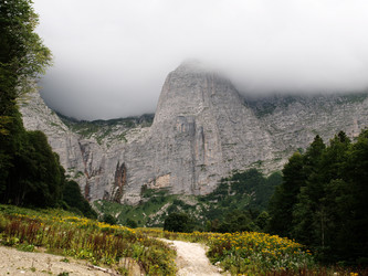 Similar image 822322