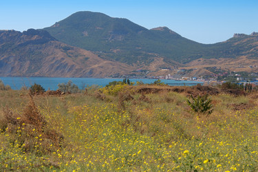 Similar image 822323