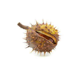 Similar image 822366