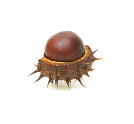 Similar image 822367