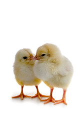 Similar image 822376