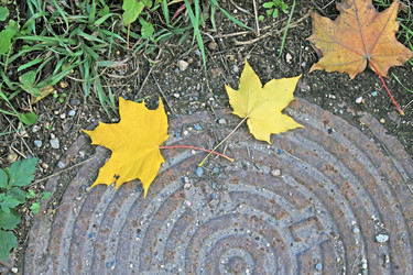 Similar image 822437