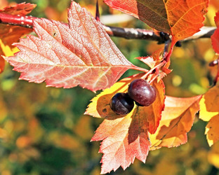 Similar image 822448