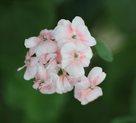 Similar image 822451