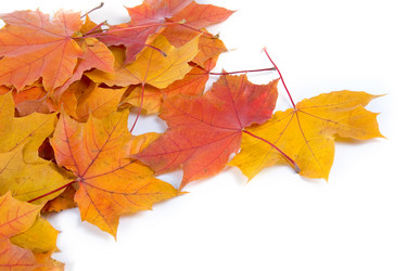 Similar image 822479