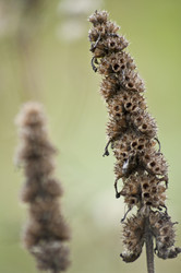 Similar image 822499