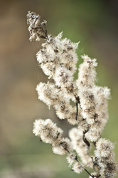 Similar image 822500