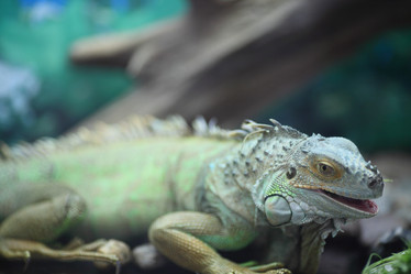 Similar image 822503