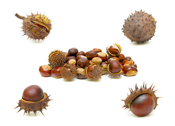 Similar image 822504