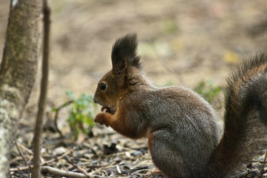 Similar image 822507