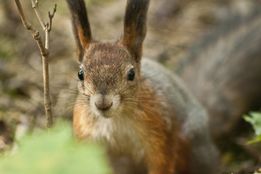 Similar image 822508