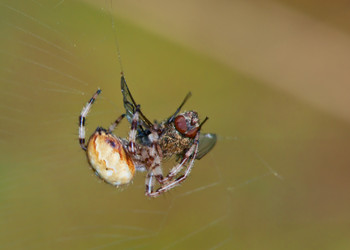 Similar image 822509