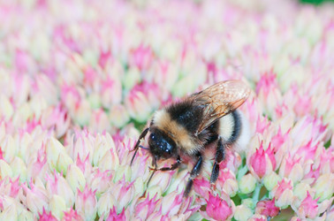 Similar image 822510