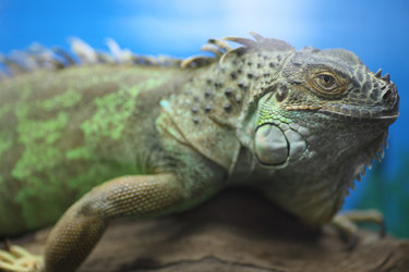 Similar image 822520