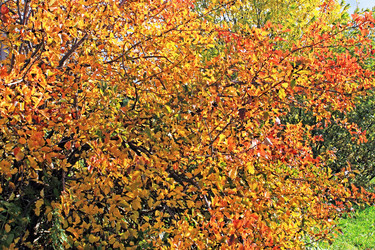 Similar image 822523