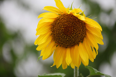 Similar image 822529