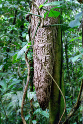 Similar image 822533