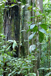 Similar image 822538