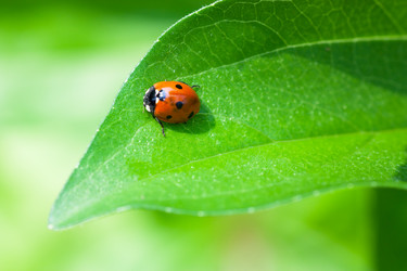 Similar image 822553