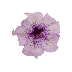 Similar image 822554