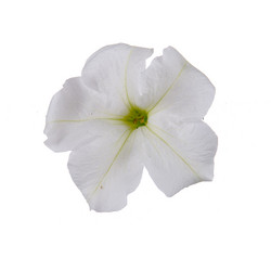 Similar image 822556