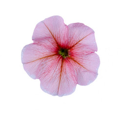 Similar image 822558