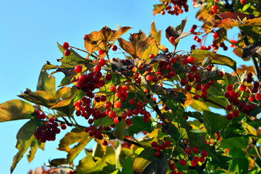 Similar image 822566