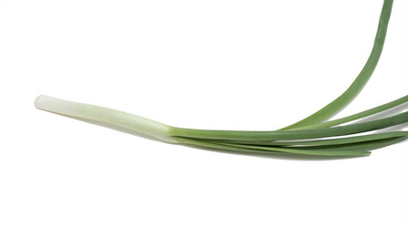 Similar image 822577