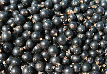 Similar image 822607