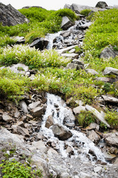 Similar image 822665