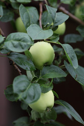 Similar image 822668