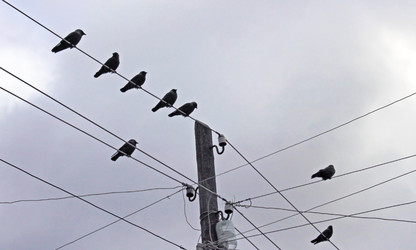 Similar image 822674