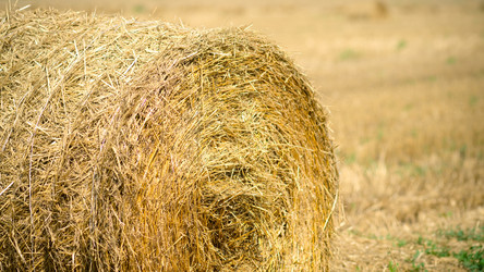 Similar image 822683