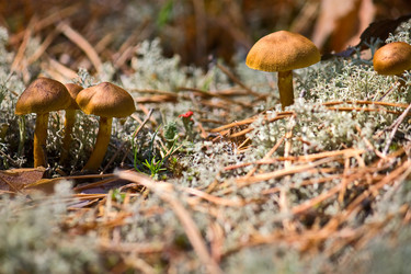 Similar image 822718