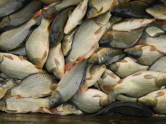 Similar image 822719