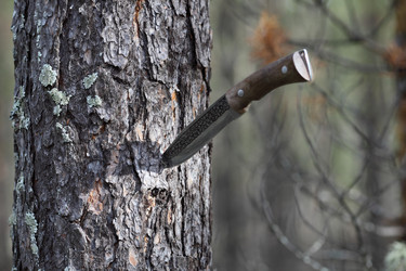 Similar image 822738