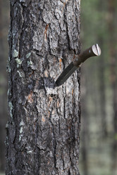 Similar image 822740