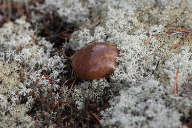 Similar image 822745