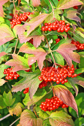 Similar image 822763