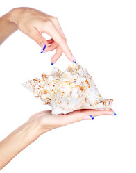 Similar image 822868