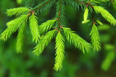 Similar image 822882