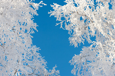 Similar image 822891