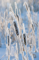 Similar image 822892