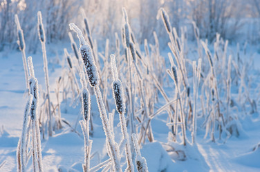 Similar image 822893