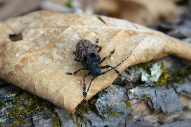 Similar image 822899