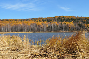 Similar image 822909