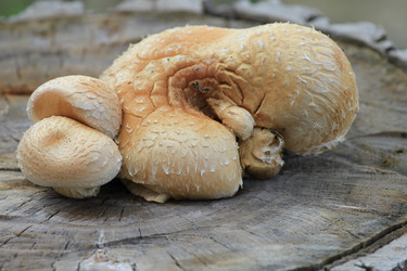 Similar image 822920