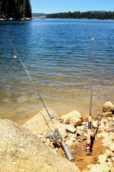 Similar image 823000