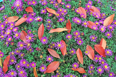 Similar image 823002